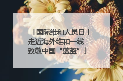 国际维和人员日丨走近海外维和一线 致敬中国“蓝盔”