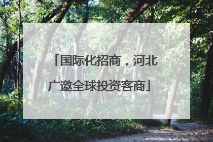 国际化招商，河北广邀全球投资客商