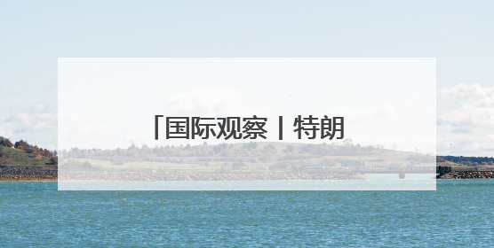 国际观察丨特朗普政府接受豪华赠机引发争议