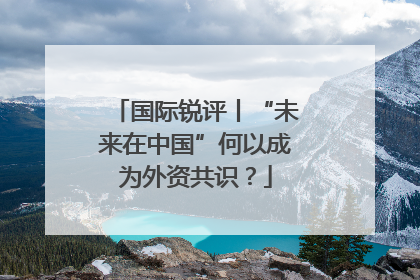 国际锐评丨“未来在中国”何以成为外资共识？