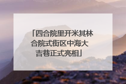 四合院里开米其林 合院式街区中海大吉巷正式亮相