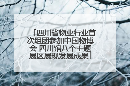 四川省物业行业首次组团参加中国物博会 四川馆八个主题展区展现发展成果