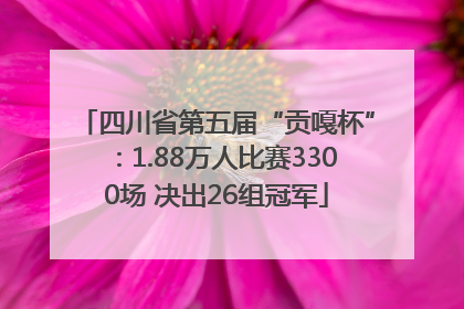 四川省第五届“贡嘎杯”：1.88万人比赛3300场 决出26组冠军