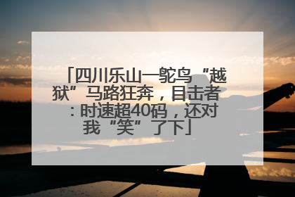 四川乐山一鸵鸟“越狱”马路狂奔，目击者：时速超40码，还对我“笑”了下