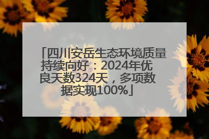 四川安岳生态环境质量持续向好：2024年优良天数324天，多项数据实现100%