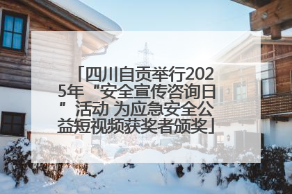四川自贡举行2025年“安全宣传咨询日”活动 为应急安全公益短视频获奖者颁奖
