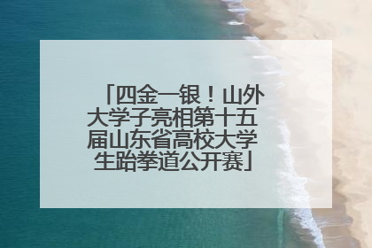 四金一银！山外大学子亮相第十五届山东省高校大学生跆拳道公开赛