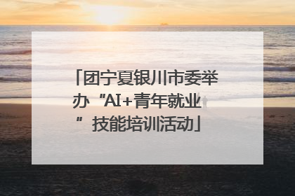 团宁夏银川市委举办“AI+青年就业”技能培训活动