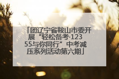 团辽宁省鞍山市委开展“轻松备考·12355与你同行”中考减压系列活动第六期