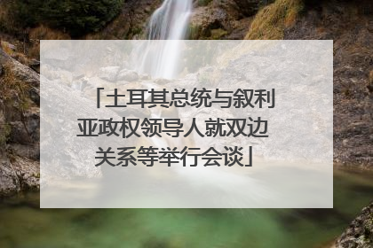 土耳其总统与叙利亚政权领导人就双边关系等举行会谈