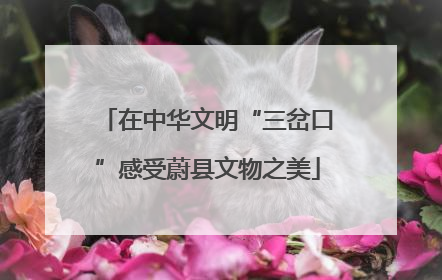 在中华文明“三岔口”感受蔚县文物之美