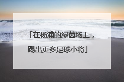 在杨浦的绿茵场上，踢出更多足球小将