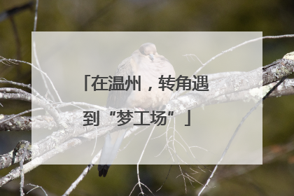 在温州，转角遇到“梦工场”
