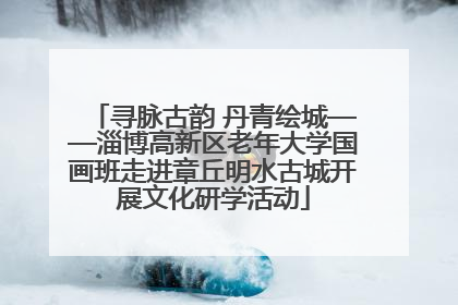 寻脉古韵 丹青绘城——淄博高新区老年大学国画班走进章丘明水古城开展文化研学活动