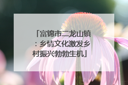 富锦市二龙山镇：乡情文化激发乡村振兴勃勃生机