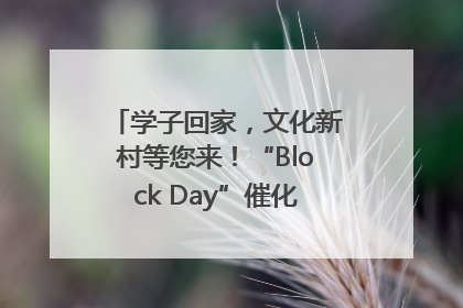 学子回家，文化新村等您来！“Block Day”催化学院式街区新生态