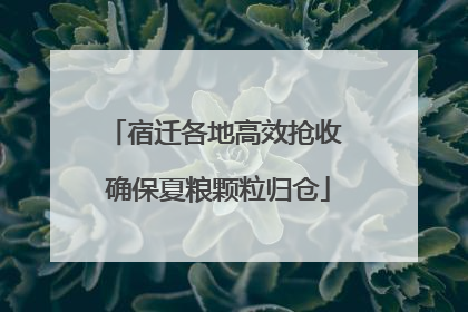 宿迁各地高效抢收 确保夏粮颗粒归仓