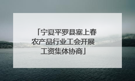 宁夏平罗县塞上春农产品行业工会开展工资集体协商