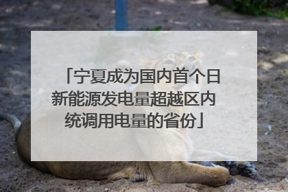 宁夏成为国内首个日新能源发电量超越区内统调用电量的省份