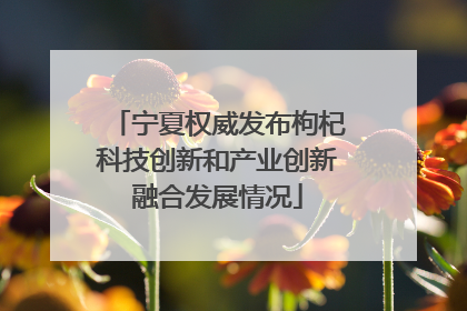 宁夏权威发布枸杞科技创新和产业创新融合发展情况