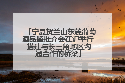 宁夏贺兰山东麓葡萄酒品鉴推介会在沪举行 搭建与长三角地区沟通合作的桥梁