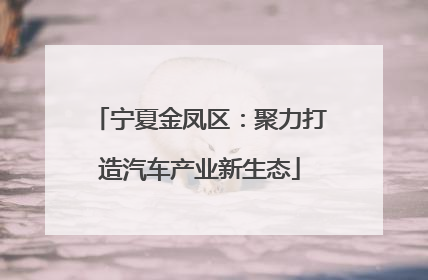 宁夏金凤区：聚力打造汽车产业新生态