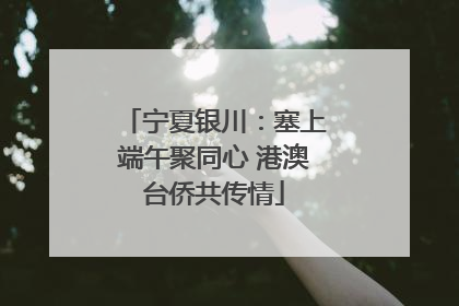 宁夏银川：塞上端午聚同心 港澳台侨共传情