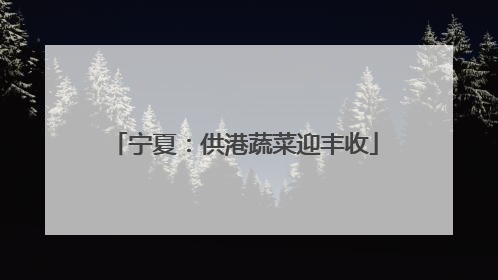 宁夏：供港蔬菜迎丰收