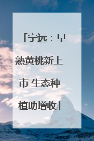 宁远：早熟黄桃新上市 生态种植助增收