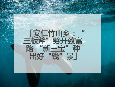 安仁竹山乡：“三板斧”劈开致富路 “新三宝”种出好“钱”景