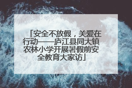 安全不放假，关爱在行动——庐江县同大镇农林小学开展暑假前安全教育大家访
