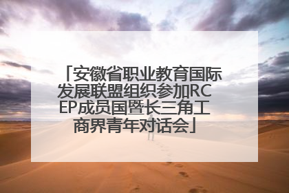 安徽省职业教育国际发展联盟组织参加RCEP成员国暨长三角工商界青年对话会