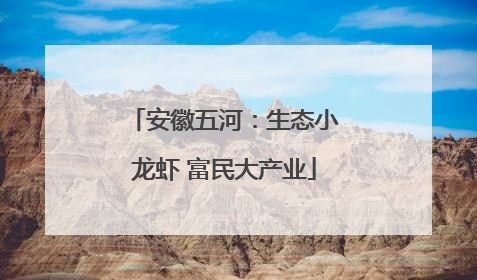 安徽五河：生态小龙虾 富民大产业