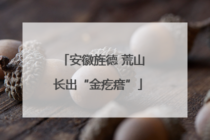 安徽旌德 荒山长出“金疙瘩”
