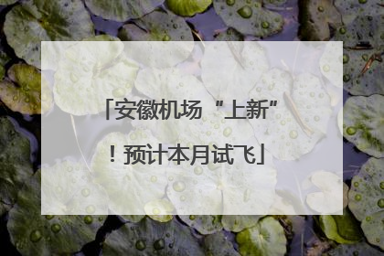 安徽机场“上新”！预计本月试飞