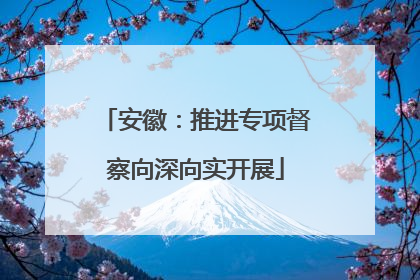 安徽：推进专项督察向深向实开展