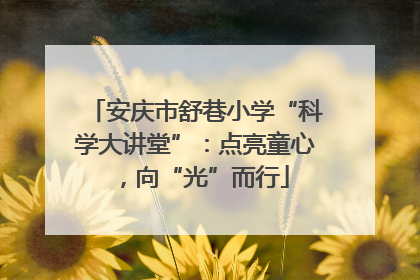安庆市舒巷小学“科学大讲堂”：点亮童心，向“光”而行