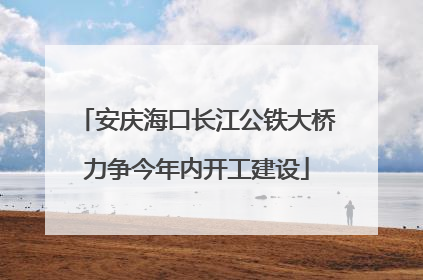 安庆海口长江公铁大桥力争今年内开工建设