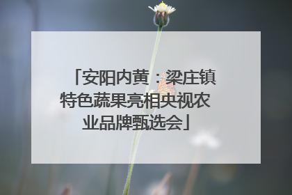 安阳内黄：梁庄镇特色蔬果亮相央视农业品牌甄选会