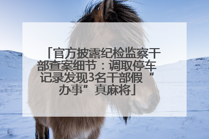 官方披露纪检监察干部查案细节：调取停车记录发现3名干部假“办事”真麻将