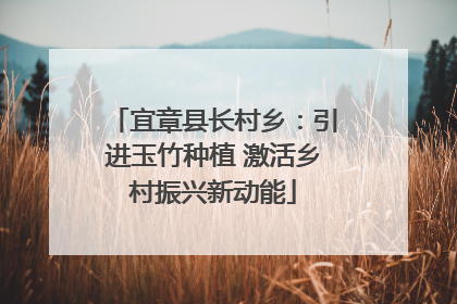 宜章县长村乡：引进玉竹种植 激活乡村振兴新动能