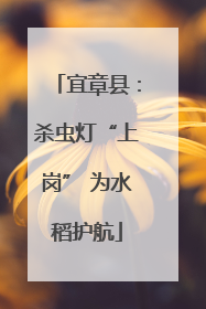 宜章县：杀虫灯“上岗” 为水稻护航