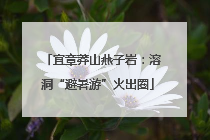 宜章莽山燕子岩：溶洞“避暑游”火出圈