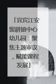 宜宾江安留耕镇中心幼儿园：聚焦主题审议，赋能课程发展