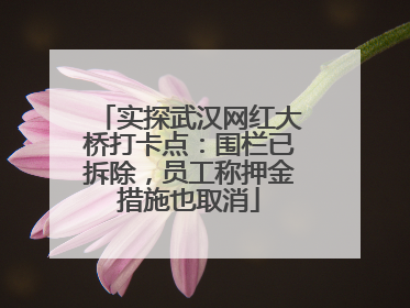 实探武汉网红大桥打卡点：围栏已拆除，员工称押金措施也取消