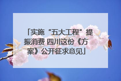 实施“五大工程”提振消费 四川这份《方案》公开征求意见