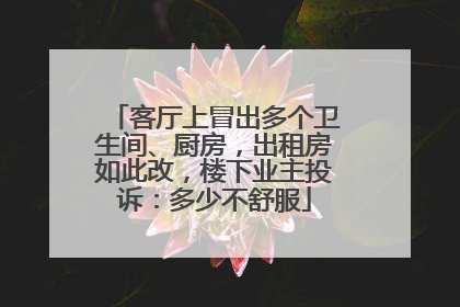 客厅上冒出多个卫生间、厨房，出租房如此改，楼下业主投诉：多少不舒服