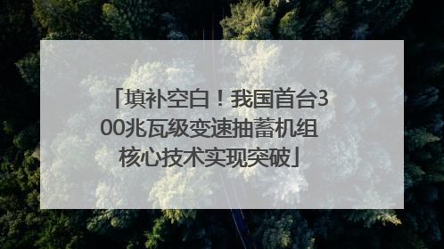 填补空白！我国首台300兆瓦级变速抽蓄机组核心技术实现突破