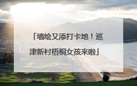墙绘又添打卡地！巡津新村梧桐女孩来啦