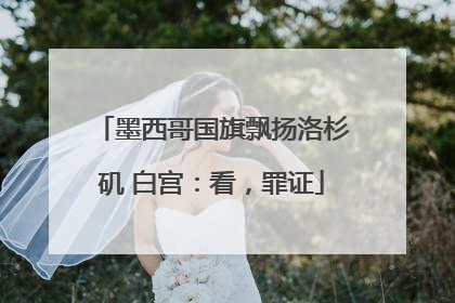 墨西哥国旗飘扬洛杉矶 白宫：看，罪证